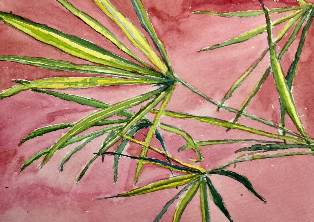 #Washtober2020 watercolour challenge showing a painting of palm fronds
