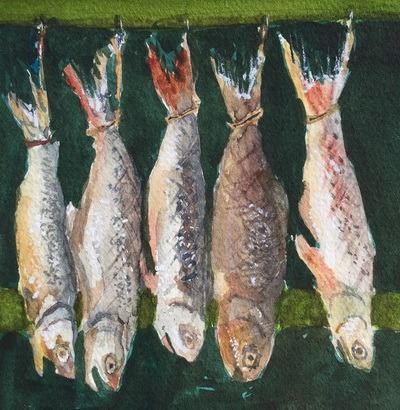 Watercolour painting by Ann Williams of fish drying on a beam